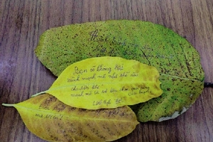 Kỳ lạ khóa học “bán một chiếc lá với giá hàng triệu đồng”