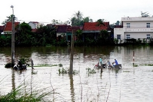 Hội Chữ thập Đỏ kêu gọi giúp đỡ người dân bị thiệt hại vì bão số 12