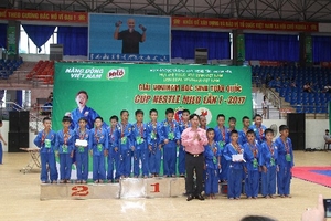 Khai mạc Giải Vovinam học sinh toàn quốc lần thứ I năm 2017- Cúp NESTLÉ MILO