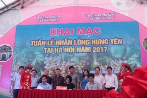 Big C Việt Nam phối hợp tổ chức “Tuần lễ Nhãn lồng Hưng Yên tại Hà Nội năm 2017”