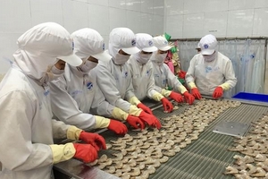 Những thay đổi trong quy định nhập khẩu thủy sản tại một số thị trường