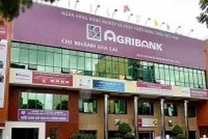 Bắt cán bộ ngân hàng chiếm đoạt hơn 120 tỉ đồng