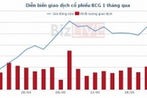Giám đốc điều hành Hàn Quốc ứng cử vào hội đồng quản trị Bamboo Capital