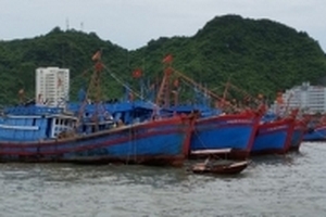 Đề án khai thác thủy sản viễn dương: Hơn 26.000 tỷ đồng cho đội tàu, có nóng vội?