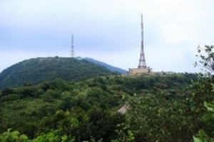 Bộ Văn hóa thu hồi văn bản xử lý ông Huỳnh Tấn Vinh