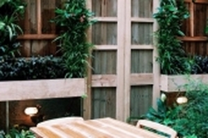 'Né' nắng nóng: 3 quán rất mát rất xanh quanh khu Hoàn Kiếm