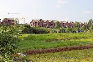 Công ty CP ĐTTMDV Cầu Giấy đứng đầu danh sách 72 đơn vị nợ thuế, phí, tiền thuê đất