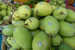 Bộ Công Thương tìm đường cho nông sản Việt sang Úc