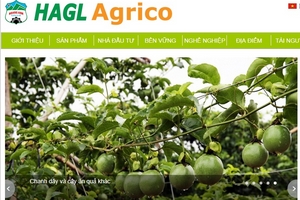 Sáng nay, HAGL Agrico tổ chức Đại hội cổ đông thường niên 2017