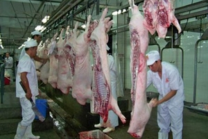 Nỗi kinh hoàng có tên 'Salbutamol' trong thực phẩm đã 'dịu' bớt