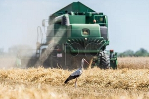 Điểm lại thị trường nông sản tuần qua