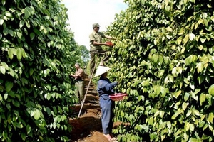 Đã có 18 mặt hàng xuất khẩu đạt trên 1 tỷ USD