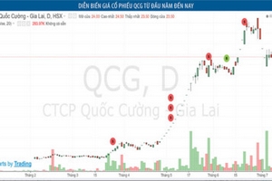 Những cổ phiếu tăng giảm hết biên độ vì... niềm tin