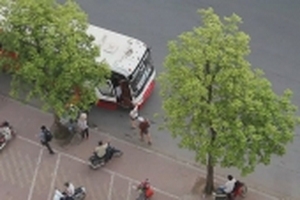 Hàng loạt xe khách 'rùa bò' trước bến Mỹ Đình bị thu phù hiệu