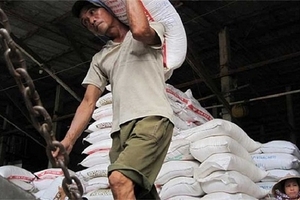 Quy định xuất khẩu gạo: Mập mờ khái niệm ‘có kho chuyên dùng’