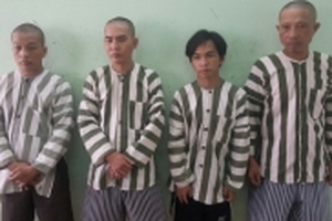 Phá đường dây mại dâm 1,6 triệu của 'tú ông' ở Sài Gòn