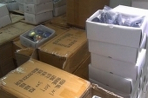 Bắt lô hàng mắt kính nhái các thương hiệu nổi tiếng ở Sài Gòn