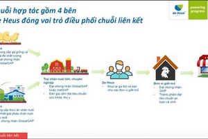 Gà Việt đi Nhật, người Việt được gì?