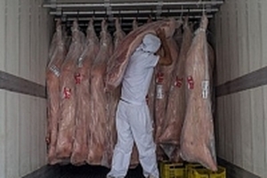 Giá heo hơi hôm nay (20/7) bắt đầu hạ nhiệt