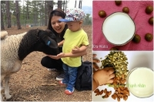 Mẹ tự làm hơn 20 loại sữa hạt vừa thơm ngon vừa bổ rẻ cho con