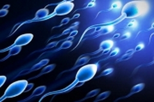 Con người đối mặt tuyệt chủng vì tinh trùng nam giới 'đi xuống'