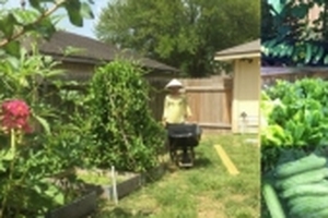 Mẹ Việt ở Mỹ dồn nỗi nhớ nhà vào việc trồng vườn rau 'gì cũng có'