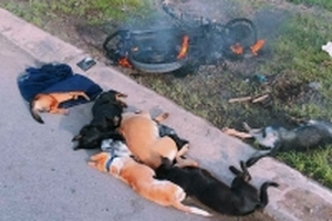 Hai thanh niên trộm chó bị đánh bất tỉnh, đốt xe máy