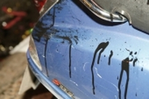 Quán trà sữa của Phạm Hương bất ngờ bị tạt sơn đen đúng ngày khai trương