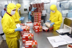 Nâng cao giá trị ngành tôm Việt Nam – Bài 2: Xây dựng thương hiệu và sản xuất bền vững cho con tôm