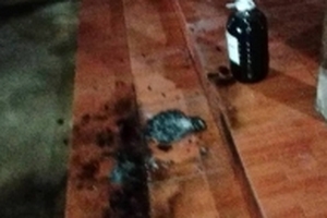 Nhà nguyên Bí thư Huyện ủy bị 'khủng bố' bằng bom xăng