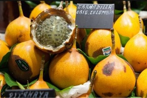 Chanh dây Colombia siêu đắt: Việt Nam cũng làm được