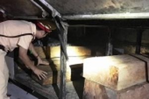 Bắt xe khách giấu gỗ lậu dưới gầm xe