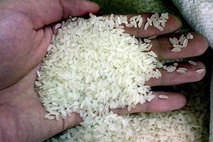 Gạo Việt xuất ngoại sẽ đem về 2,3 tỷ USD năm 2020