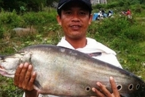 Câu được cá thác lác 'khủng' hiếm thấy ở Việt Nam