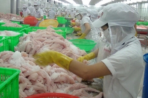 Tạm dừng xuất khẩu cá tra sang Mỹ bị cảnh báo