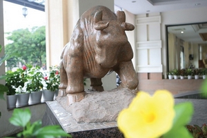 Báo cáo thường trực Chính phủ Đề án lập Sở giao dịch chứng khoán Việt Nam