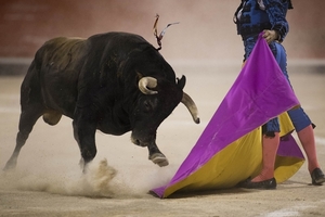 Macquarie Bank dự báo giá quặng sắt và than vẫn tăng mạnh đến năm sau