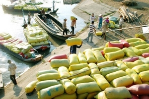 Sẽ loại bỏ nhiều điều kiện kinh doanh xuất khẩu gạo