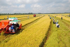Thí điểm cơ chế tích tụ đất đai tại 2 tỉnh Thái Bình, Hà Nam