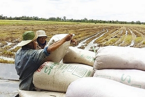 Quan điểm chiến lược cần nhìn xa hơn