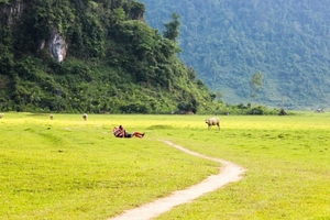 Vượt qua Huế, Đà Nẵng, Quảng Bình xếp thứ 4 trong top 10 điểm đến hấp dẫn nhất Việt Nam