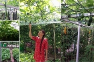 Mẹ Việt đảm ở Đức quyết tự cuốc đất, đào 10m2 sân gạch để trồng rau sạch
