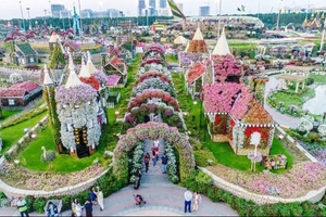 Dubai Miracle Garden: Vườn hoa tự nhiên lớn nhất thế giới nằm giữa sa mạc