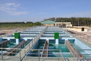 Cổ phiếu Biwase tăng 48%, Becamex IDC và Đại Phú Thịnh tính thoái 16 triệu cổ phiếu