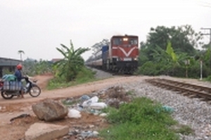 Băng ngang đường, 7 con trâu bị tàu SE5 đâm chết