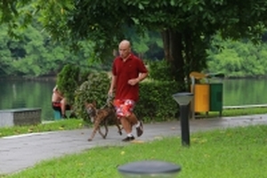 'Chó cảnh không cắn người đâu'