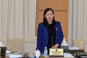 Luật Đặc khu kinh tế: Đặc biệt nhưng không được trái Hiến pháp