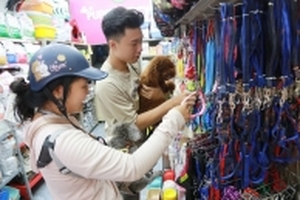 Trước 'giờ G', người dân đổ xô đi mua dây xích, rọ mõm