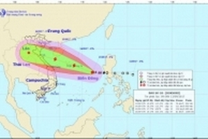 Bão số 10 giật cấp 15, các tỉnh Nghệ An - Hà Tĩnh sẽ bị ảnh hưởng trực tiếp