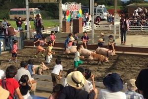 Nếu muốn khám phá một Tokyo khác lạ thì đến đây!